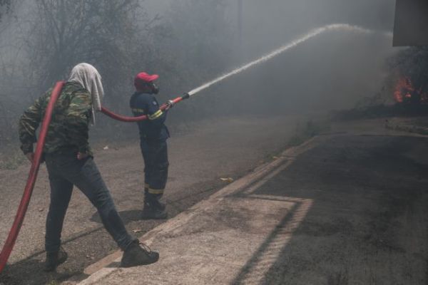 Φωτιές – Δύο προσαγωγές σε Κρυονέρι και Φωκίδα – Αναζητείται ύποπτος στην Ηλεία