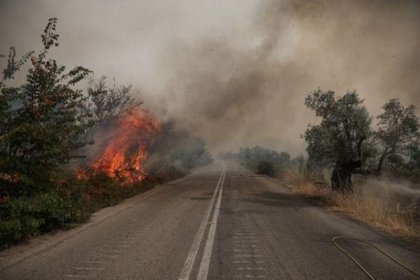 Φωτιές σε Εύβοια και Πελοπόννησο – Εννέα άτομα σε νοσοκομεία και Κέντρα Υγείας