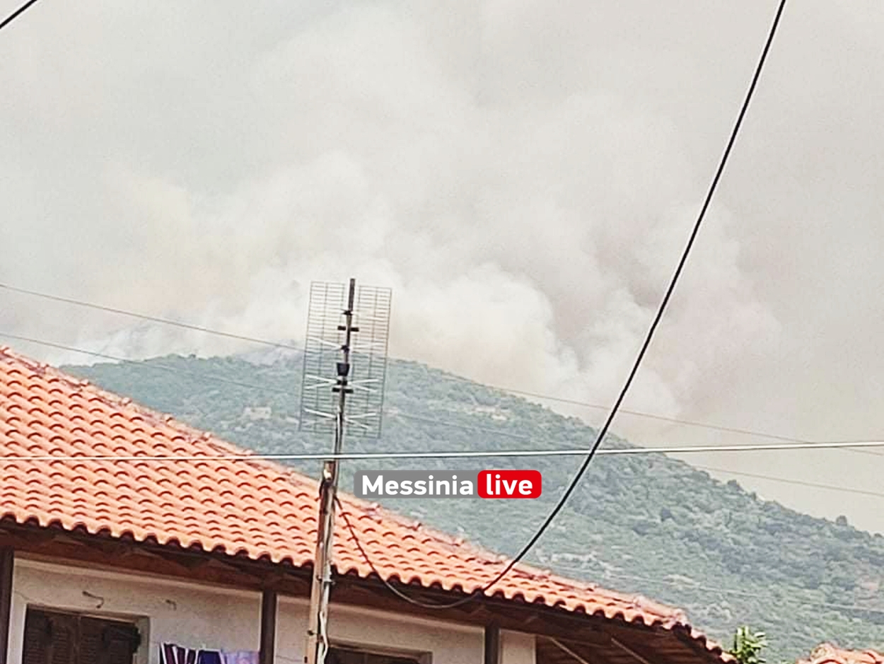 Μεσσηνία - Η φωτιά πλησιάζει προς το χωριό Καρνάσι - Δραματικές στιγμές