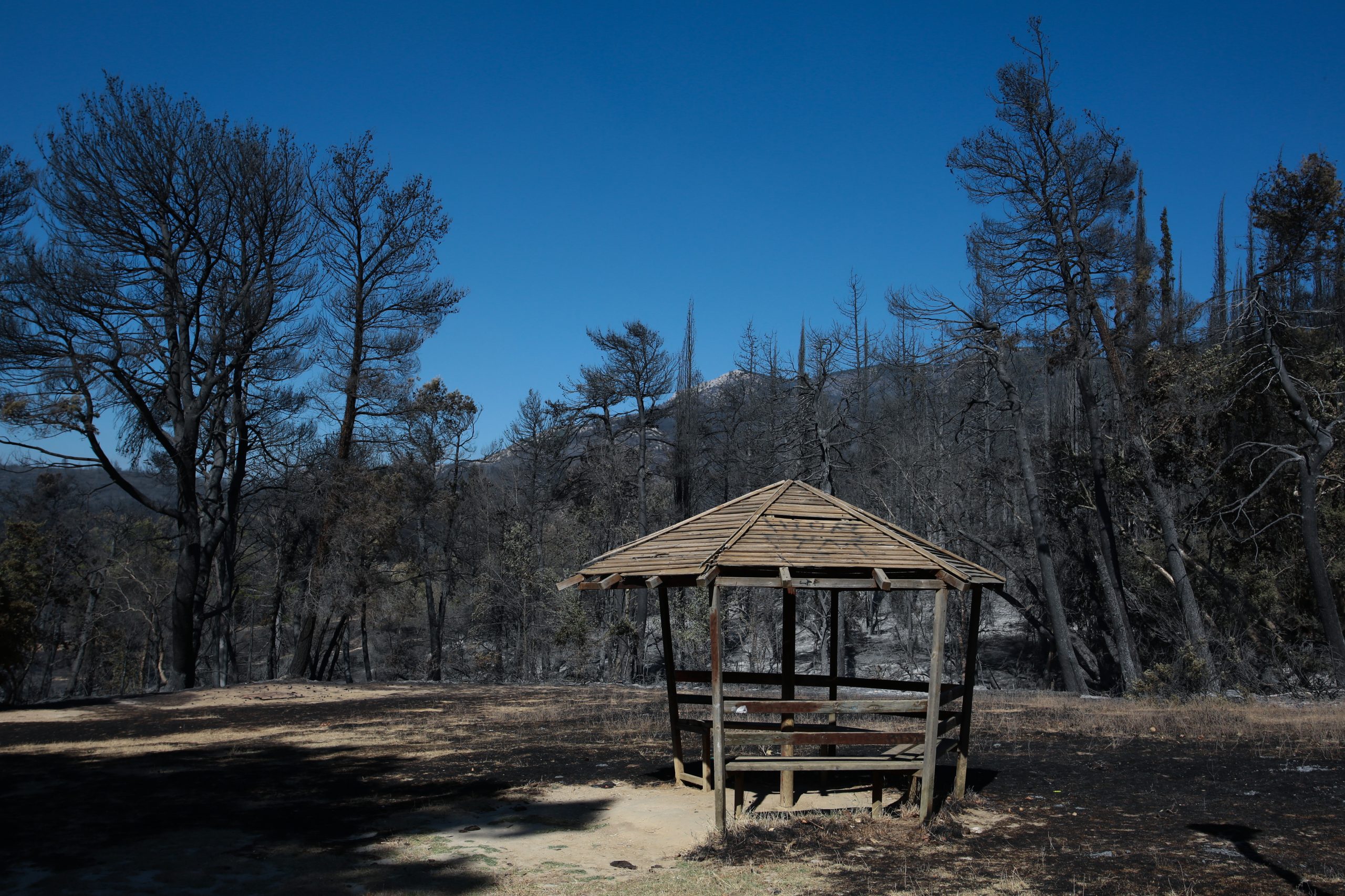 Fires – More than 100Κ hectares of ash in two weeks in Greece