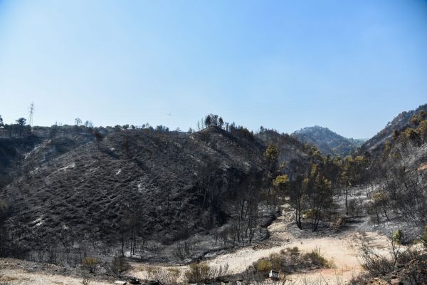 Φωτιά στην Αχαΐα – Πάνω από τρεις χιλιάδες στρέμματα καμένα σύμφωνα με το Meteo