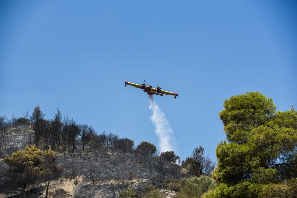 Χαρδαλιάς – 116 φωτιές το τελευταίο 48ωρο – Ποια είναι η κατάσταση στα πύρινα μέτωπα