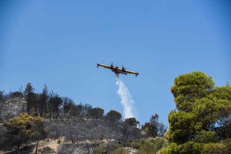 Χαρδαλιάς – 116 φωτιές το τελευταίο 48ωρο – Ποια είναι η κατάσταση στα πύρινα μέτωπα