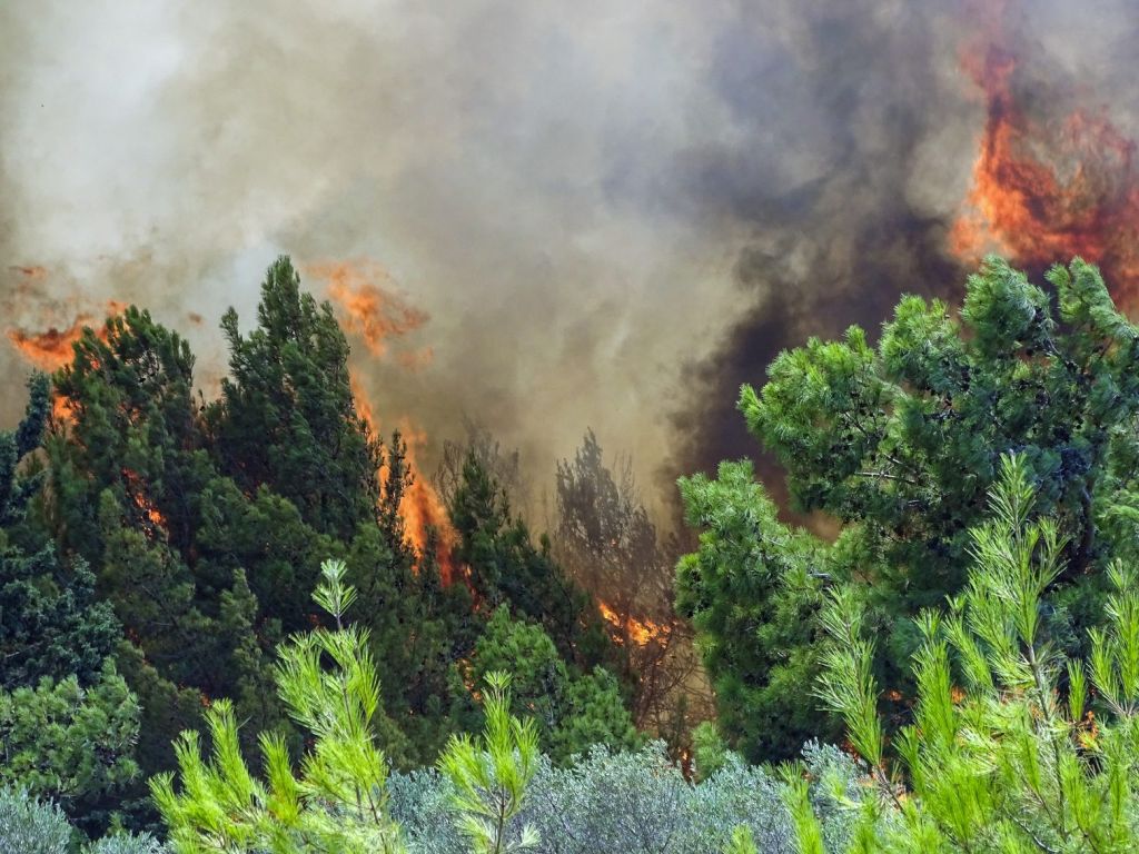 Φωτιά στην Καλαμάτα – Μέτωπο ενός χιλιομέτρου στα Ελληνικά
