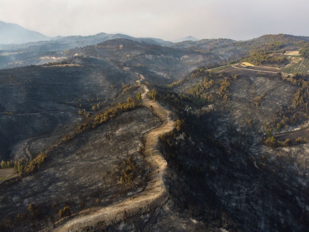 Φωτιά στην Εύβοια – Η περιοχή «κάηκε επίτηδες» – Η καταγγελία από τον πρόεδρο της Κοινότητας Ροβιών