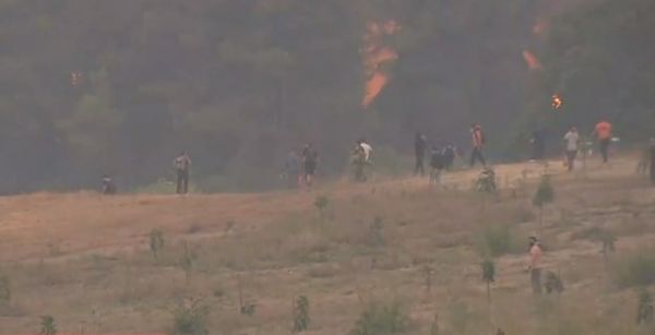 Φωτιά στην Εύβοια – Νέες αναζωπυρώσεις – Ανθρώπινη αλυσίδα από τους κατοίκους για να σταματήσουν τις φλόγες