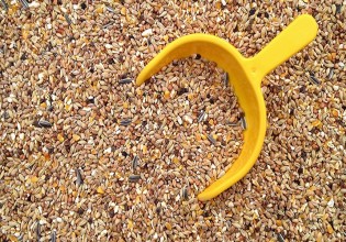 Πελοπόννησος – Ζωοτροφές σε κτηνοτρόφους πυρόπληκτων περιοχών