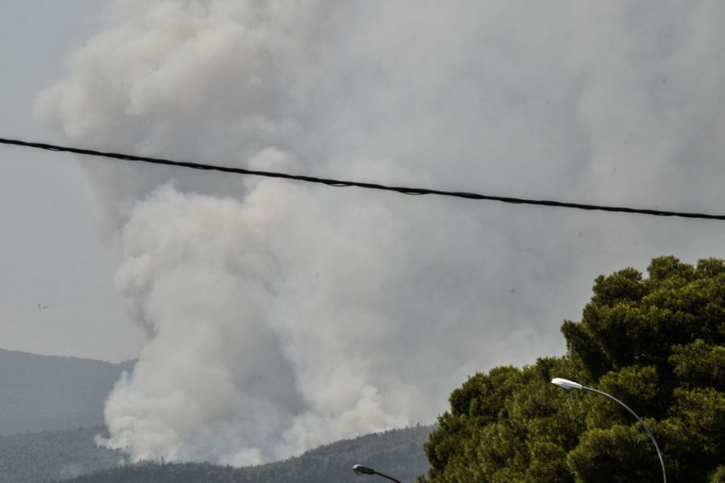 Πρόεδρος κοινότητας Αφιδνών για φωτιά στη Βαρυμπόμπη – «Πρώτα από όλα η ανθρώπινη ζωή»