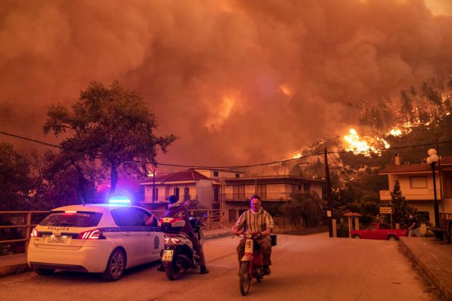 Λέκκας για φωτιές - Σε μία δεκαετία θα μπορέσουν να ανακάμψουν οι καμένες περιοχές