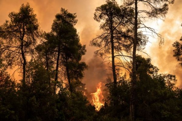 Φωτιά στην Εύβοια – «Τέτοια κατάσταση δεν έχω ξαναδεί – Τι κάναμε να μην φτάσουμε ως εδώ;»