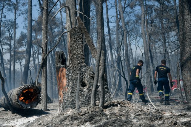 Φωτιές στην Εύβοια – Τι λέει η διευθύντρια της WWF για τις ανεμογεννήτριες στις καμένες εκτάσεις