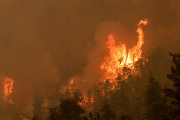 Χαρδαλιάς για φωτιές – «Κάθε σπίτι που χάνεται, είναι μια μαχαιριά στην καρδιά μας»