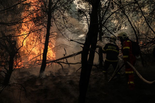 Φωτιά στη νότια Εύβοια – Πνέουν ισχυροί άνεμοι