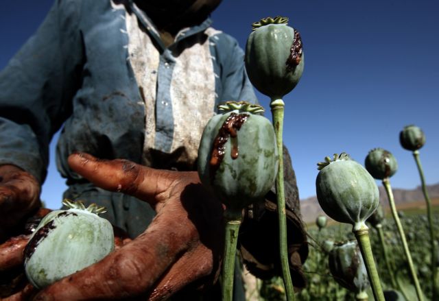 Αφγανιστάν - Πώς η επέλαση των Ταλιμπάν επηρεάζει το παράνομο εμπόριο ναρκωτικών