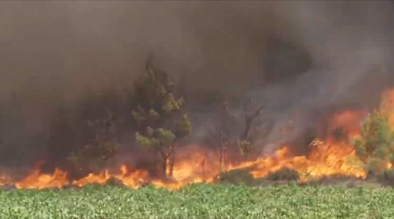 Σπίρτζης για φωτιές – «Γιατί δεν πετά το Beriev στις δύο περιοχές; – Πόσα μέσα ξένων χωρών επιχειρούν;»