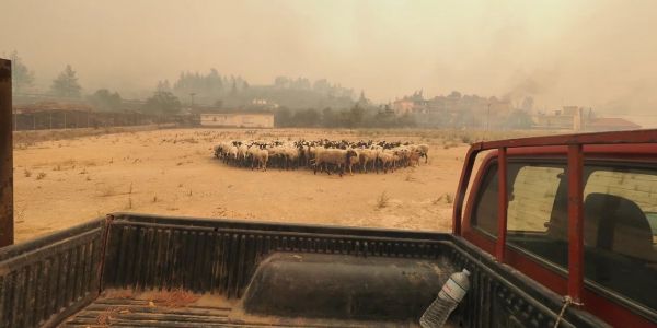 Έμπρακτα στο πλευρό των παραγωγών ενώσης παραγωγών του Αγρινίου