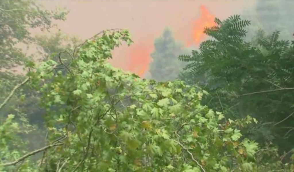Το in.gr στο Αρτεμίσιο – Ανεξέλεγκτη η φωτιά, οι κάτοικοι προσπαθούν να φτιάξουν αντιπυρικές ζώνες