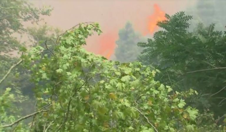 Το in.gr στο Αρτεμίσιο – Ανεξέλεγκτη η φωτιά, οι κάτοικοι προσπαθούν να φτιάξουν αντιπυρικές ζώνες