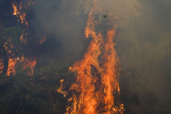 Φωτιά στην Αττική – Η πυρκαγιά πλησιάζει την πλατεία της Βαρυμπόμπης – Δυνατοί άνεμοι στην περιοχή