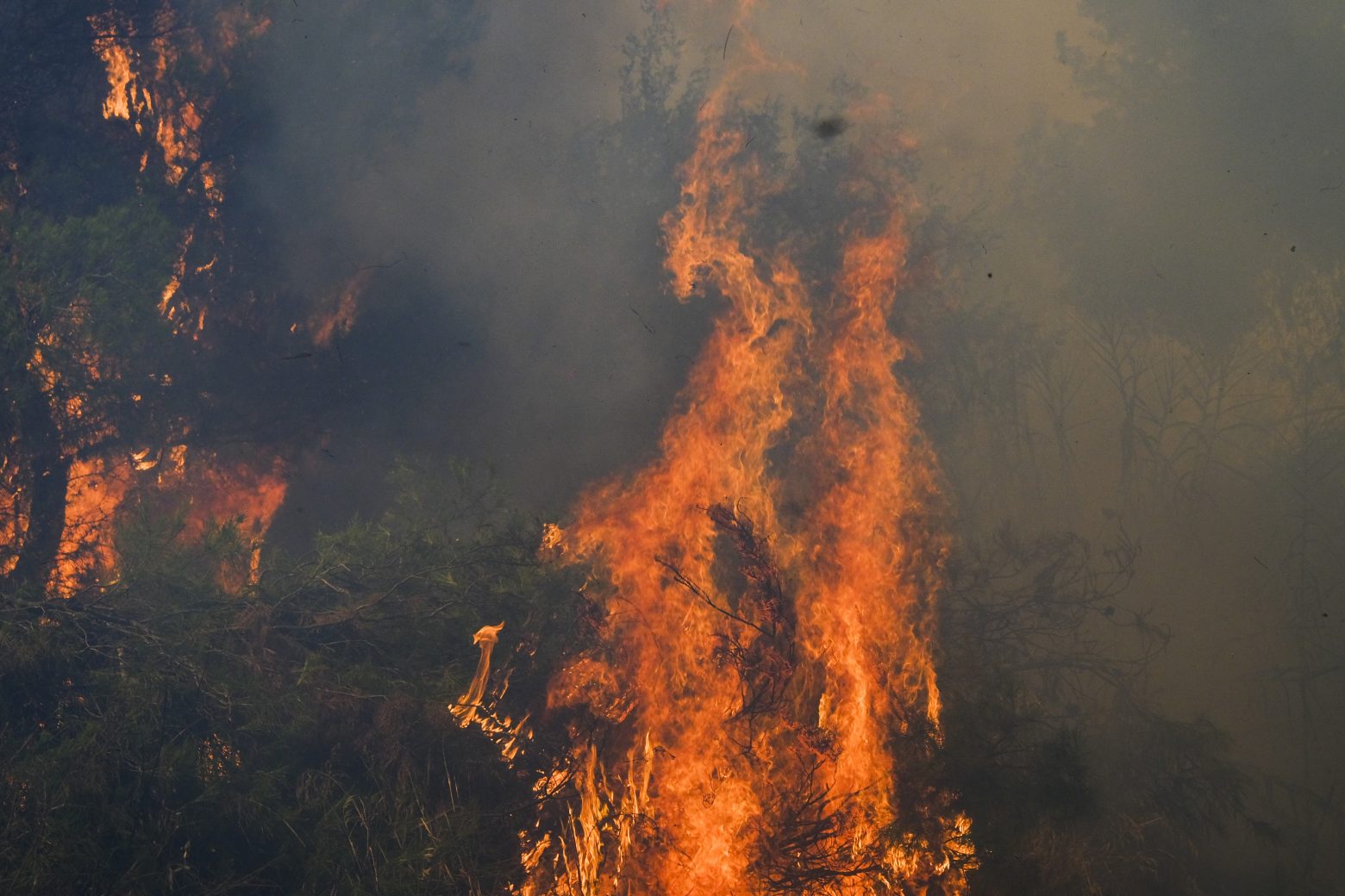 Φωτιά στην Αττική - Η πυρκαγιά πλησιάζει την πλατεία της Βαρυμπόμπης - Δυνατοί άνεμοι στην περιοχή