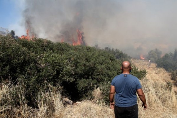 Συνεχίζουν να επιχειρούν ισχυρές πυροσβεστικές δυνάμεις στην περιοχή Κάζα στα Βίλια -Σε ύφεση η πυρκαγιά