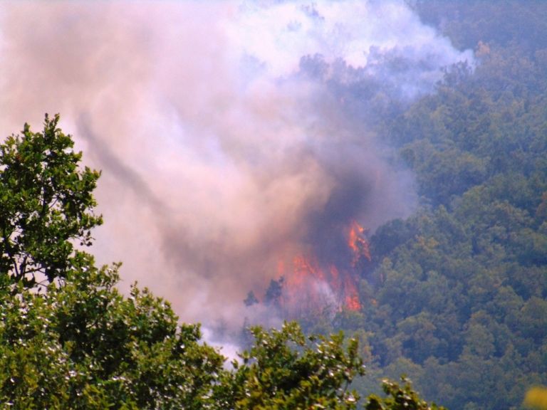 «Μαζί με το δάσος καήκαμε και εμείς»