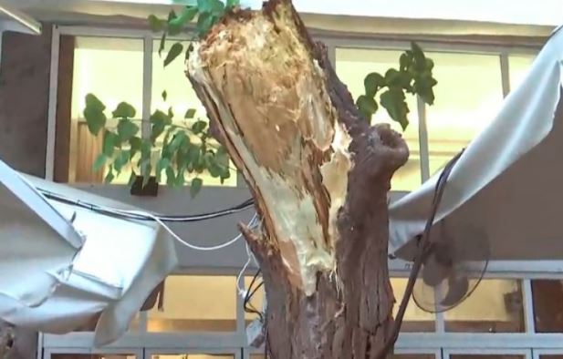 Κατέρρευσε δέντρο στο εστιατόριο που δειπνούσαν Πάιατ με Μενέντεζ 