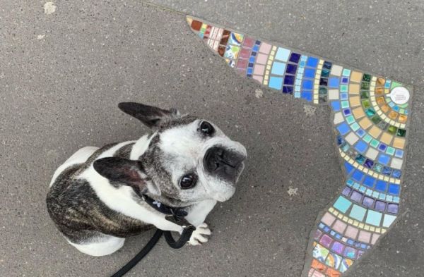 Και όμως τα σπασμένα πεζοδρόμια μπορούν να γίνουν έργα τέχνης