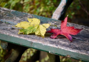 Καλωσήρθες Φθινόπωρο – Αυτά είναι τα 4 τυχερά ζώδια για τον Σεπτέμβριο