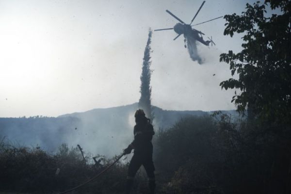 Πύρινος όλεθρος – Το «ντόμινο» που κατέκαψε 1.300.000 στρέμματα δάσους