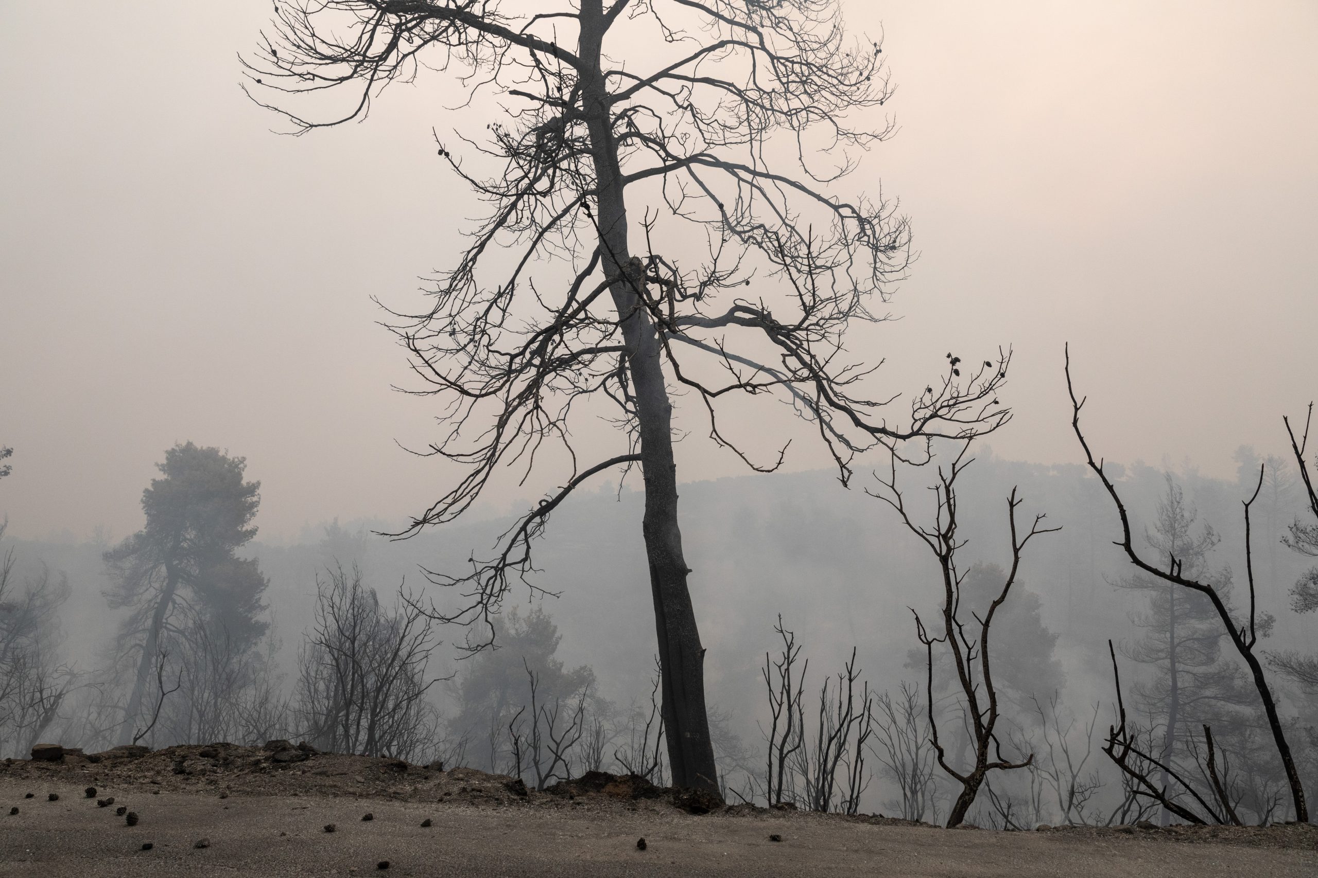 Καμπανάκι Moody’s για τις επιπτώσεις από τις φωτιές – Πιστωτικοί κίνδυνοι από την κλιματική αλλαγή