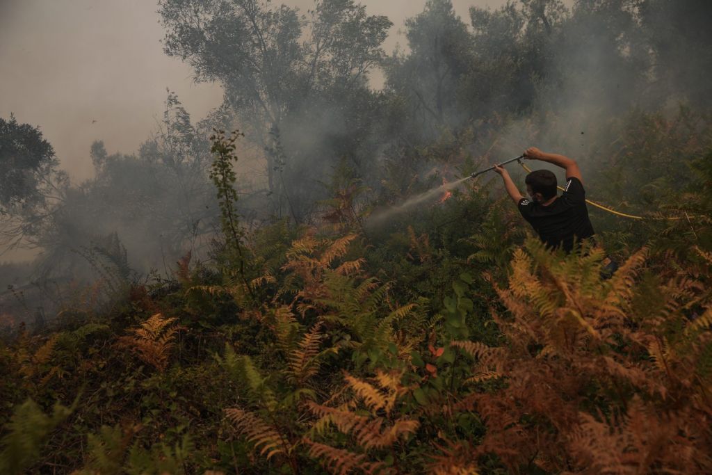 Γεννηματά – Αρκετά με τα επικοινωνιακά shows – Ο κ. Μητσοτάκης ας ασχοληθεί σοβαρά με τις πυρκαγιές