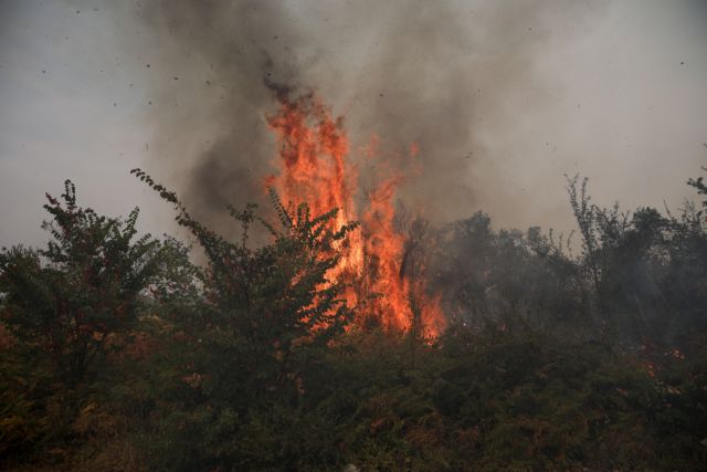 Φωτιά στην Εύβοια - Εκκενώνεται το Κέντρο Υγείας στο Μαντούδι