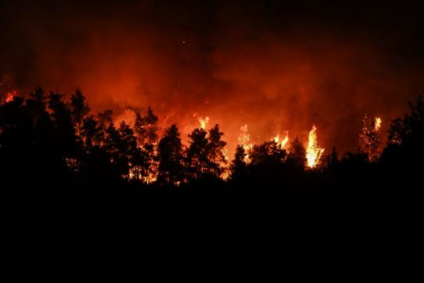 Περιφερειάρχης Στερεάς Ελλάδας – «Η κατάσταση είναι άνευ προηγουμένου, η φωτιά τρέχει πολύ γρήγορα»