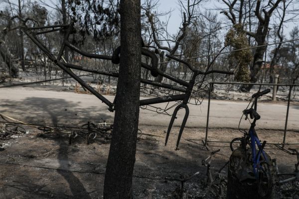 Ν. Ανδρουλάκης – Τρεις φορές περισσότερες οι καμένες εκτάσεις στην Ιταλία, 8,5 στην Ελλάδα συγκριτικά με πέρσι