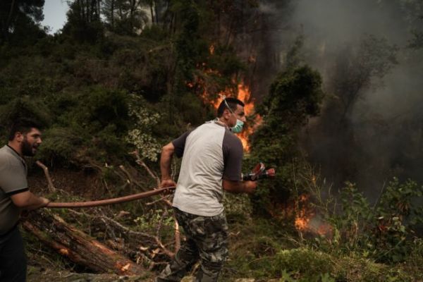 Πύρινη λαίλαπα στην Εύβοια – Τρία τα μέτωπα, μάχη για να σωθούν Κεχριές και Δάφνη
