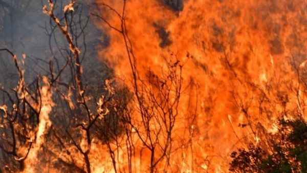 Θεσπρωτία – Πέρασε σε ελληνικό έδαφος η φωτιά από την Αλβανία