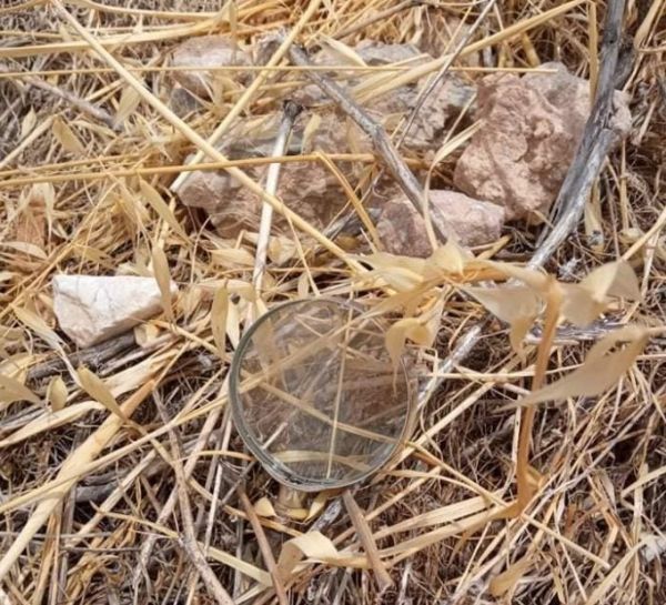 «Μεγεθυντικός φακός σε ξερά χόρτα» – Σε επιφυλακή για απόπειρα εμπρησμού στον Υμηττό καλεί ο πρόεδρος του ΣΠΑΥ