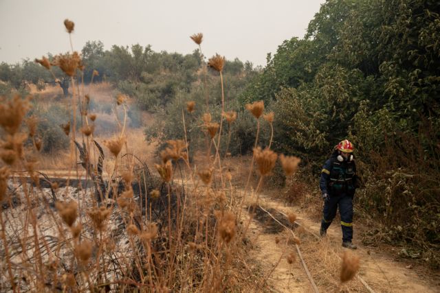Φωτιά στην Εύβοια – Πιθανότητα βροχής την Τετάρτη