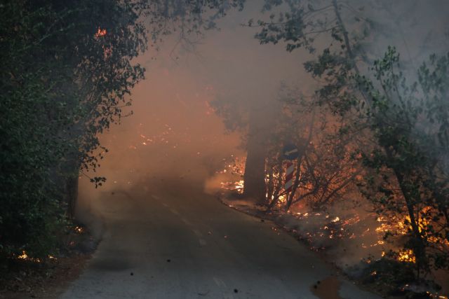Λέκκας για Βαρυμπόμπη - Κάηκαν περίπου 30.000 στρέμματα - Τα αίτια της φωτιάς