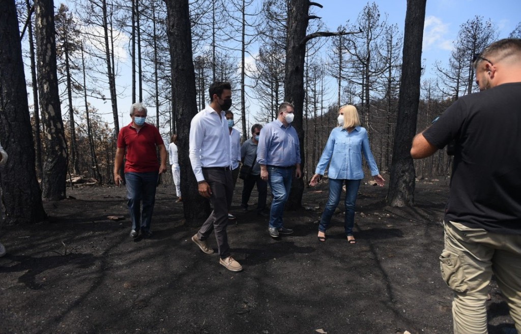 Γεννηματά – Δεν θα αφήσουμε την Εύβοια να γίνει όμηρος ιδιωτικών συμφερόντων