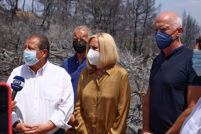 Στα καμμένα της Αχαΐας η Γεννηματά μαζί με το Γ. Παπανδρέου