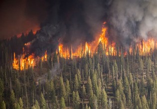 Κλιματική αλλαγή: Από την Αρκτική μέχρι την Ανταρκτική, το 2020 ήταν χρονιά φωτιάς και λάβρας