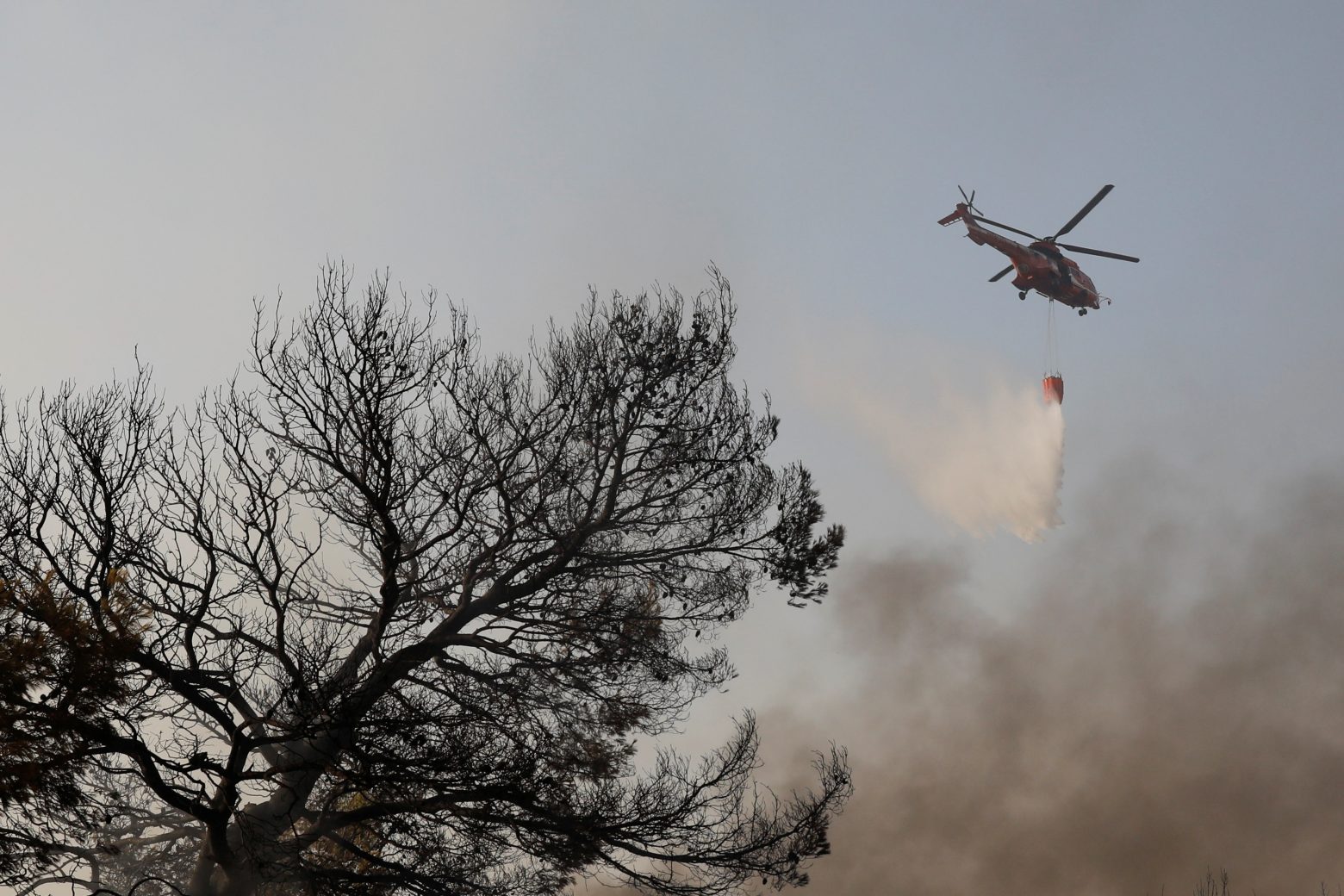 Γεννηματά - Επίθεση στην κυβέρνηση για τη διαχείριση της φωτιάς στη Βαρυμπόμπη