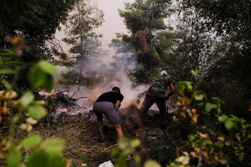 Φωτιά στην Εύβοια – Σύγκρουση για τις πυρκαγιές – Οικονόμου, Χατζηγιαννάκης και Μαρίνος στο MEGA