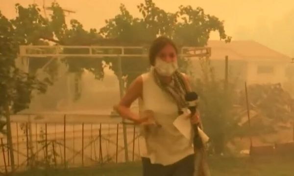 Φωτιά στην Εύβοια – Συγκλονιστική στιγμή – Δημοσιογράφος σώζει γατάκι την ώρα του ρεπορτάζ