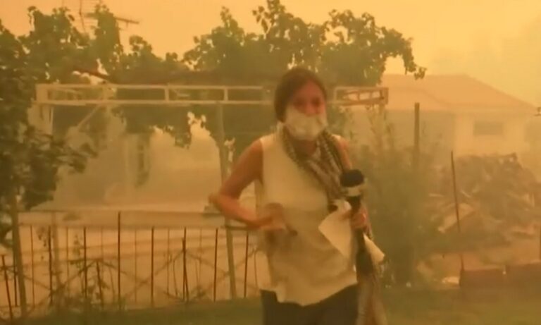 Φωτιά στην Εύβοια – Συγκλονιστική στιγμή – Δημοσιογράφος σώζει γατάκι την ώρα του ρεπορτάζ