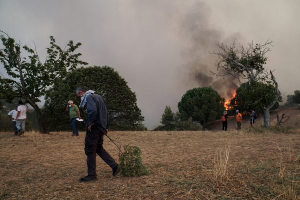 Πυρκαγιές – Ποιες περιοχές αντιμετωπίζουν τον μεγαλύτερο κίνδυνο για την Τρίτη 10 Αυγούστου