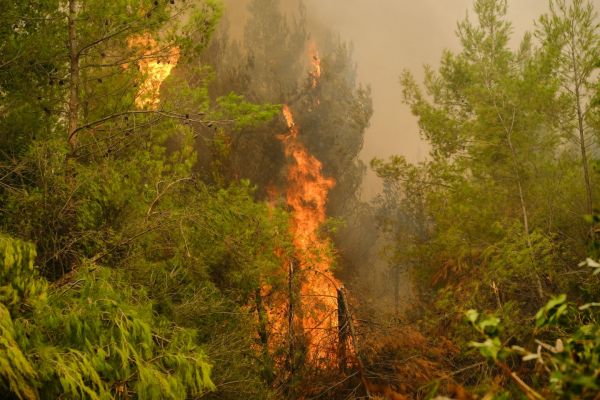 Φωτιές – «Καμπανάκι» της Πολιτικής Προστασίας για 10 περιοχές – Πολύ υψηλός ο κίνδυνος πυρκαγιάς τον Δεκαπενταύγουστο