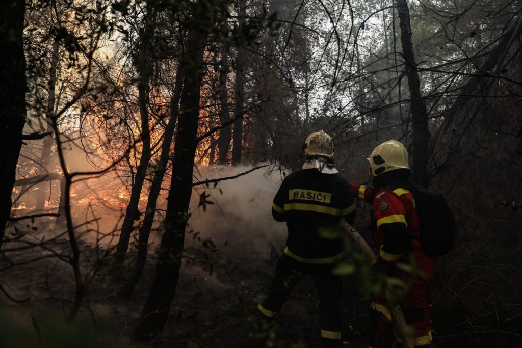 Πυρκαγιές – Μέτρα πρόληψης ζητούν 63.000 πολίτες μέσω επιστολής της WWF
